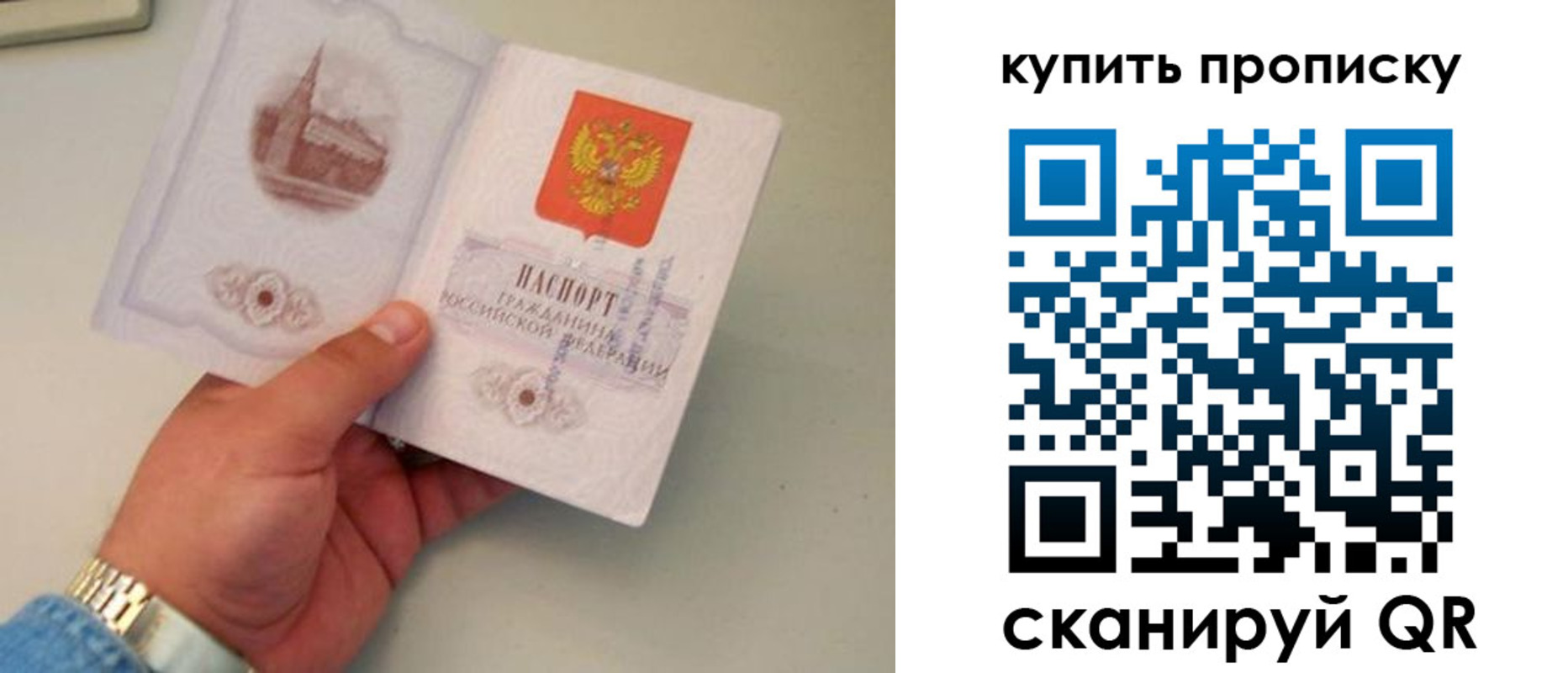 прописка для работы в Балтийске
